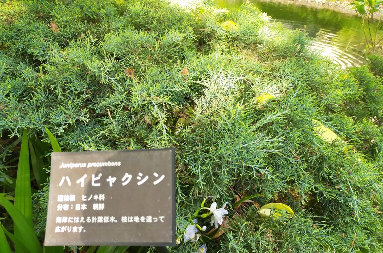 IMG20210418155635