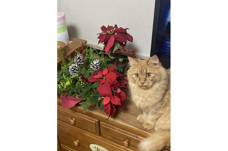 IMG_1860[1]