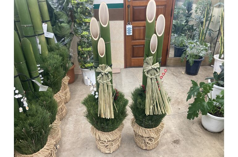 IMG_2016[1]