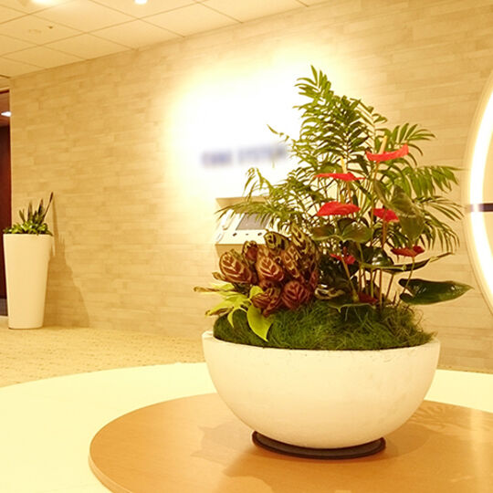 office006-5_エントランスでお客様を迎える大型寄せ植え