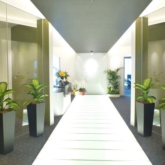 office006-6_シンボリックなコーディネートでエントランス空間を演出