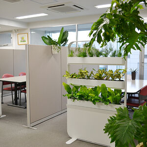 office009-2_グリーンのパーティションカーヴァ